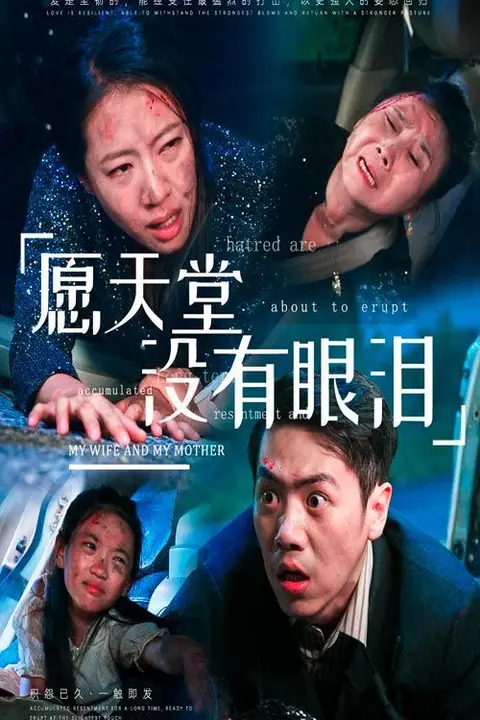 《愿天堂没有眼泪》封面