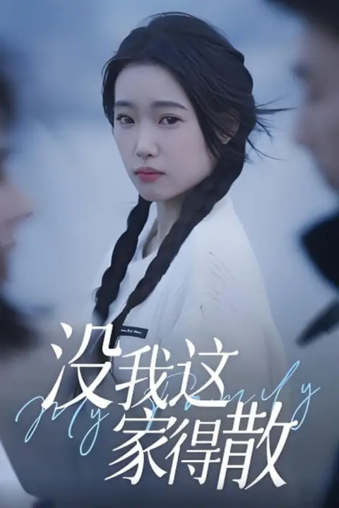 《没我这家得散》封面