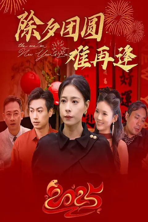 《除夕团圆难再逢》封面