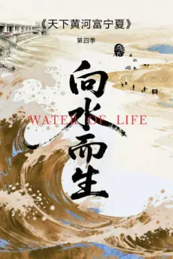 《天下黄河富宁夏 第四季》封面