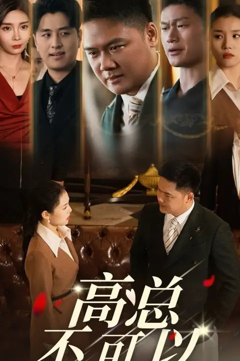 《高总不可以》封面