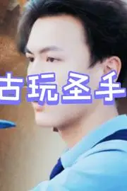 《古玩圣手》封面