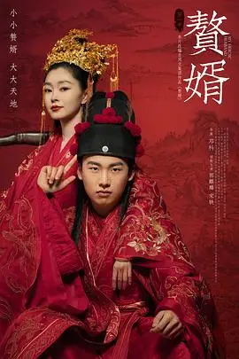 《赘婿》封面