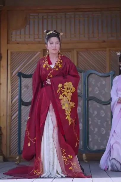 《宸王的复仇王妃》封面