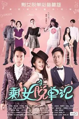 《剩女脱单记》封面