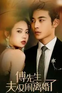 《傅先生夫人又闹离婚了》封面