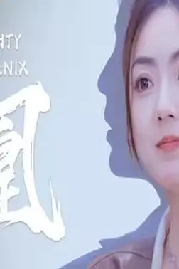 《战凰》封面