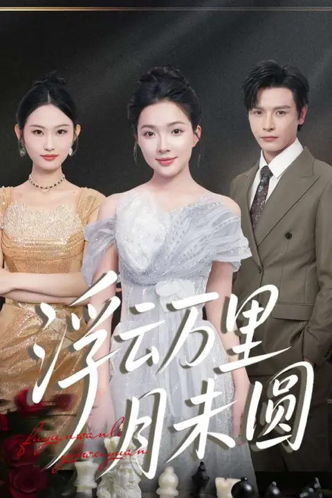 《浮云万里月未圆》封面