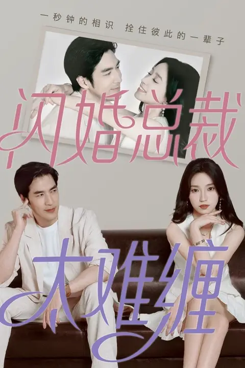 《闪婚总裁太难缠》封面