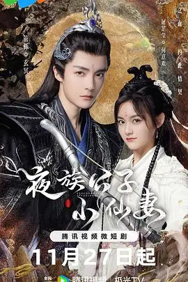 《夜族公子小仙妻》封面