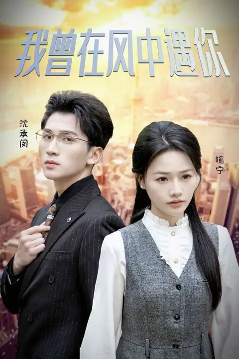 《我曾在风中遇你》封面