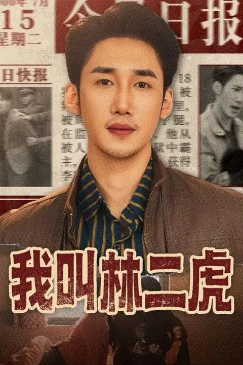 《我叫林二虎》封面