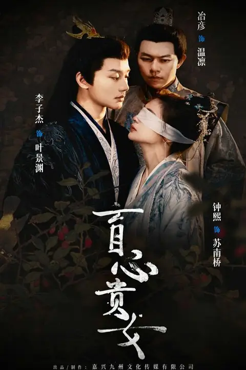 《盲心贵女》封面
