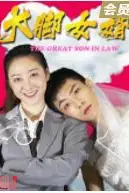 《大脚女婿》封面