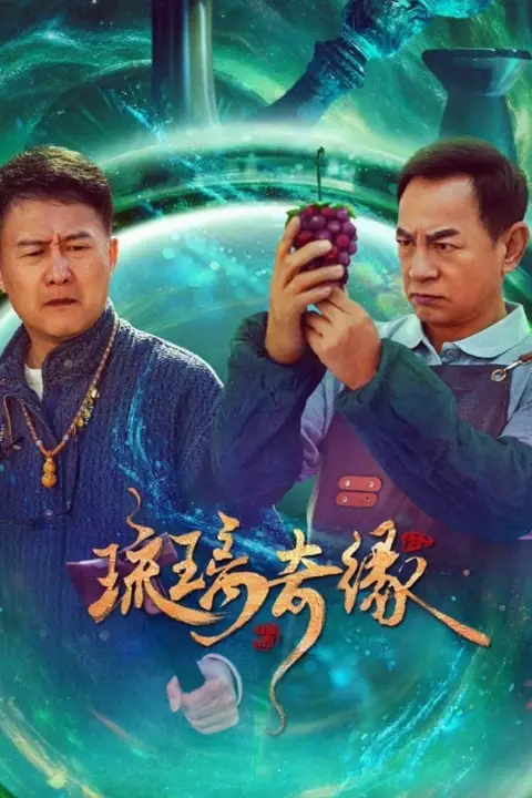 《琉璃奇缘》封面