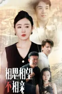《相思相望不相亲》封面