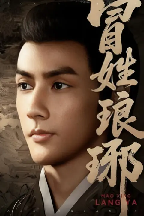 《冒姓琅琊》封面