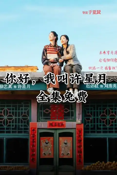 《你好我叫许星月》封面