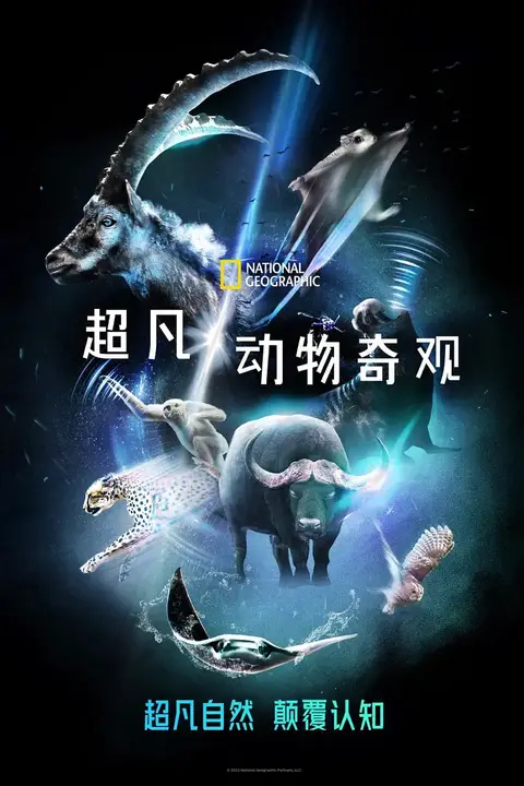 《超凡动物奇观》封面