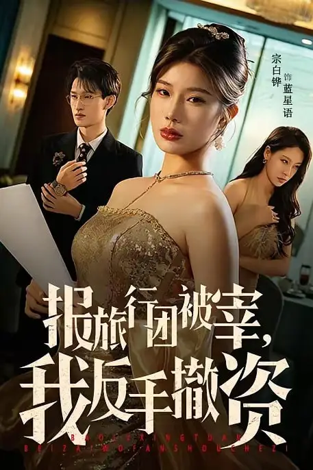 《报旅行团被宰,我反手撤资》封面