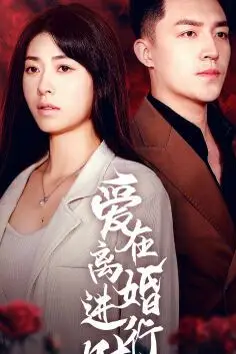 《爱在离婚进行时》封面