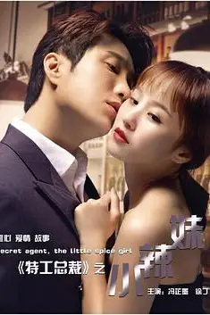 《特工总裁小辣妹》封面