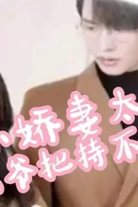 《小娇妻太凶,陆爷把持不住了》封面
