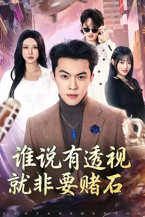 《谁说有透视就非要赌石》封面