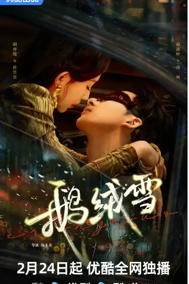 《鹅绒雪》封面