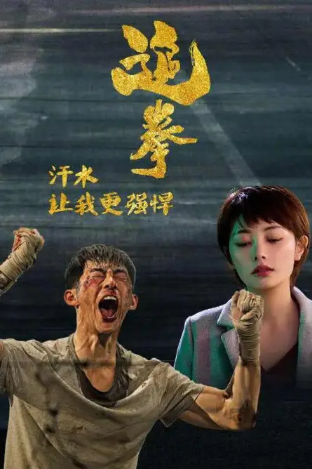 《追拳》封面