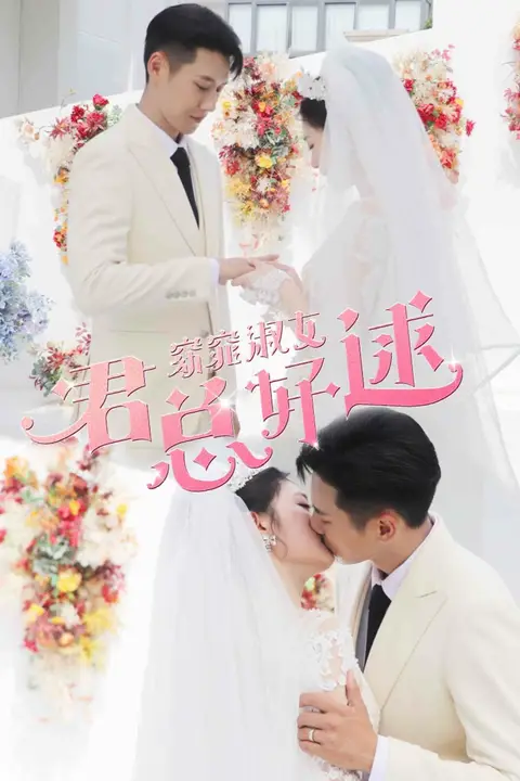 《窈窕淑女君总好逑》封面