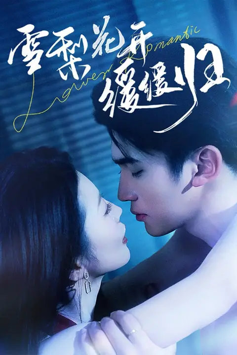 《雪梨花开缓缓归》封面