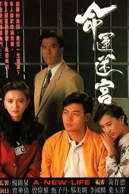 《命运迷宫普通话版》封面