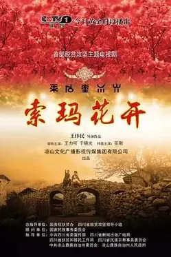 《索玛花开》封面