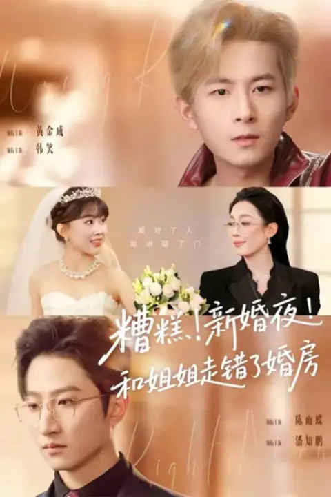 《糟糕！新婚夜！和姐姐走错了婚房(糟糕新婚夜和姐姐走错了婚房)》封面
