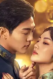 《少帅的秘密佳人》封面