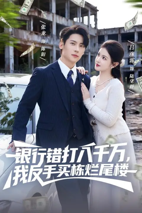 《银行错打八千万,我反手买栋烂尾楼》封面