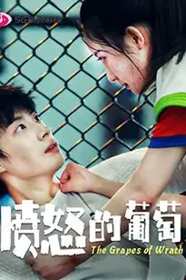 《愤怒的葡萄》封面