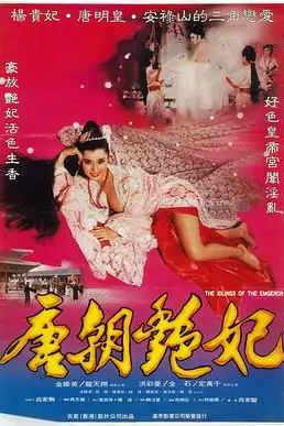 《唐朝艳妃》封面