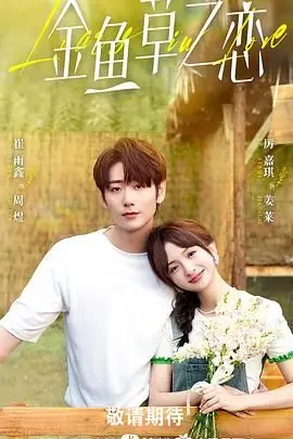 《无法抗拒的谎言》封面
