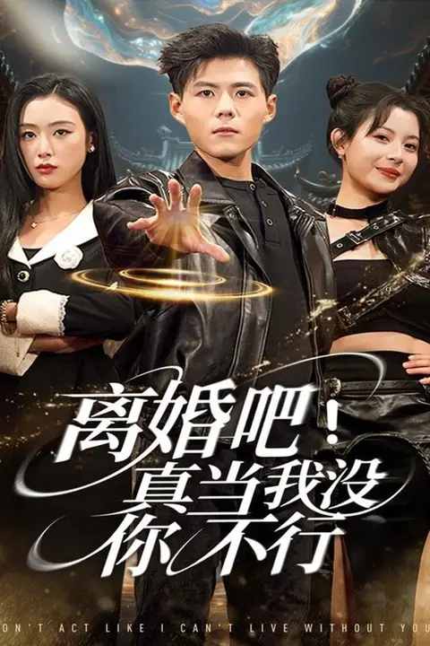 《离婚吧!真当我没你不行》封面