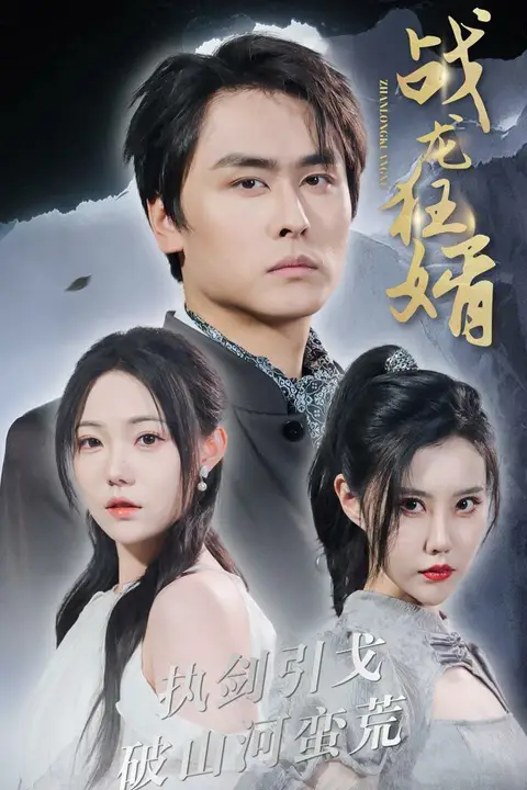 《战龙狂婿》封面