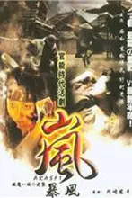 《感官暴风》封面