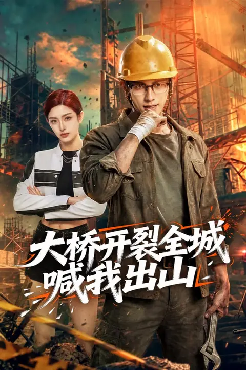 《大桥开裂全城喊我出山》封面