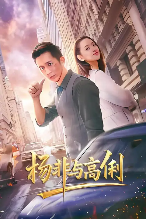《杨非与高俐》封面