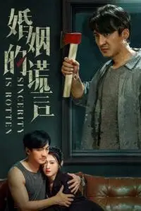 《婚姻的谎言》封面