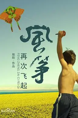 《风筝再次飞起》封面