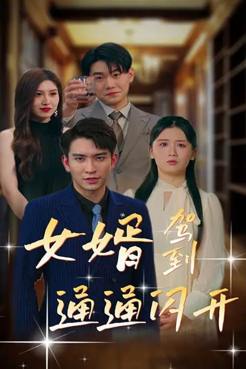 《女婿驾到通通闪开》封面