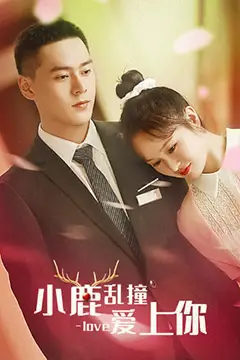 《小鹿乱撞爱上你》封面