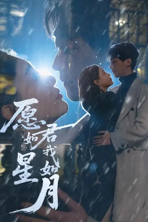 《愿君如星我如月》封面